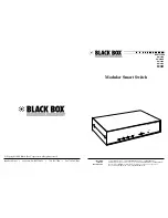 Black Box SW925A User Manual предпросмотр