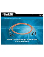 Black Box Terminated Multimode Fiber Optic Cable Brochure preview