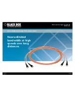 Black Box Terminated Multimode Fiber Optic Cable Technical Specifications preview