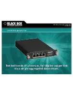 Black Box TS254A Specifications preview