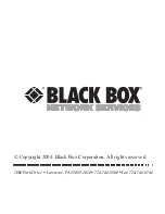 Black Box TS590A User Manual preview