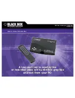 Black Box VGA to Video Ultimate Plus Technical Specifications предпросмотр