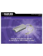 Предварительный просмотр 1 страницы Black Box VGA-USB Adapter Specifications