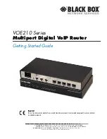 Black Box VOE210 Series Getting Started Manual предпросмотр