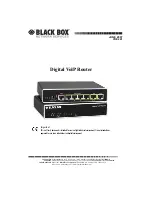 Предварительный просмотр 1 страницы Black Box VOE241 Manual