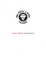 Black Lion Audio Auteur Quad User Manual preview