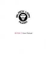 Black Lion Audio B172A User Manual предпросмотр