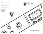 Black Lion Audio Bluey Owner'S Manual предпросмотр