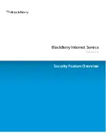 Blackberry INTERNET SERVICE - SECURITY Feature Overview Manual preview