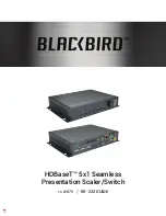 Blackbird 21875 Manual preview