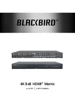 Blackbird 24180 User Manual preview