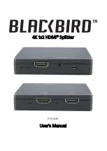 Предварительный просмотр 1 страницы Blackbird 36741 User Manual