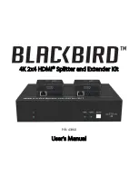 Blackbird 43960 User Manual preview