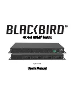 Blackbird 43961 User Manual preview