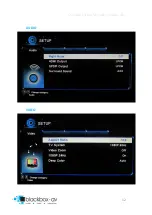 Предварительный просмотр 11 страницы blackbox-av 22VS Manual