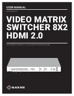 Blackbox AVSC-HDMI2-8X2 User Manual предпросмотр