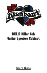 Blackheart BH110 Killer Cab User Manual предпросмотр