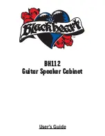 Предварительный просмотр 1 страницы Blackheart BH112 User Manual