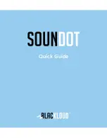 blackloud SOUNDOT Quick Manual предпросмотр