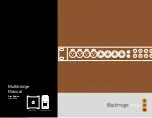 Blackmagicdesign Multi-bridge HD-SD Manual предпросмотр