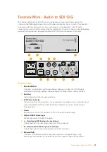 Preview for 38 page of Blackmagicdesign teranex mini Installation And Operation Manual