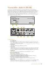 Preview for 202 page of Blackmagicdesign teranex mini Installation And Operation Manual