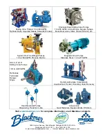 Предварительный просмотр 12 страницы BLACKMER GDP 102 Additional Installation, Operation And Maintenance Instructions