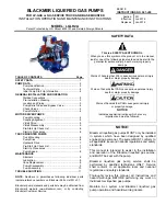 Preview for 1 page of BLACKMER LGLH2A Installation, Operation And Maintenance Instructions