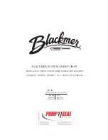 BLACKMER SYSTEM ONE Installation, Operation And Maintenance Instructions предпросмотр