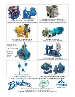 Preview for 12 page of BLACKMER TX1.5 Installation, Operation And Maintenance Instructions