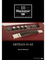 Blackstar ARTISAN 10 AE Owner'S Manual preview