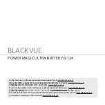 Preview for 2 page of BlackVue B-124E User Manual