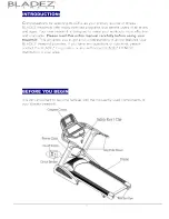 Предварительный просмотр 2 страницы BLADEZ DX7-TMEO Owner'S Manual