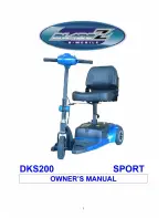 BLADEZ Sport DKS200 Owner'S Manual preview