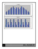 Предварительный просмотр 10 страницы BLADEZ VibroPower Owner'S Manual