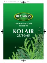 Blagdon Koi Air 25 Instruction Leaflet preview