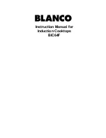 Blanco BIC64F Instruction Manual preview