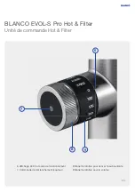 Preview for 59 page of Blanco BLANCO EVOL-S Pro Hot & Filter User Manual