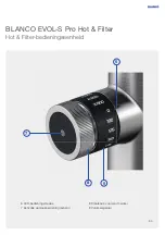 Preview for 83 page of Blanco BLANCO EVOL-S Pro Hot & Filter User Manual