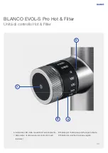 Preview for 107 page of Blanco BLANCO EVOL-S Pro Hot & Filter User Manual