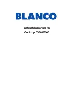 Blanco CG604WXC Instruction Manual preview