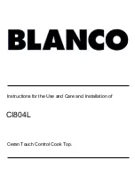 Blanco CI804L Instructions For The Use And Care And Installation preview