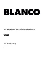 Preview for 1 page of Blanco CI905 Instructions For The Use And Care And Installation