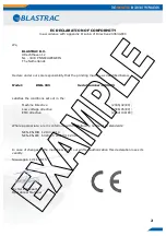 Предварительный просмотр 2 страницы Blastrac BMG-555 Original Operating Instructions