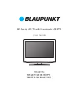 Preview for 1 page of Blaupunkt 185/207I-GB-3B-HKDUPS User Manual