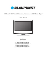 Blaupunkt 236/207I-GB-3B-HKDUP User Manual предпросмотр