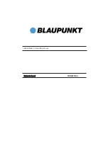 Blaupunkt 5DB69253AU Instructions On Mounting An Use preview