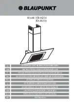 Blaupunkt 5DL66250 Instruction On Mounting And Use Manual preview