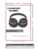 Blaupunkt BLP4400 User Manual preview