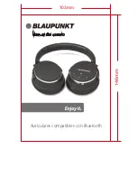 Preview for 19 page of Blaupunkt BLP4400 User Manual